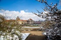Botanical Garden in Munich in winter Royalty Free Stock Photo