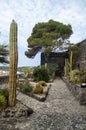 Botanical garden in Norman castle Aci Castello near Catania, Sicilia, Italy Royalty Free Stock Photo