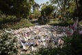 a botanical garden with origami paper butterflies fluttering among the blooms