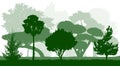 Botanical garden. Ornamental trees silhouettes. Vector illustration