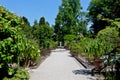 Botanical Garden, Padua, Italy Royalty Free Stock Photo