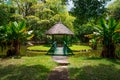 Botanical Garden Pamplemousses, Mauritius. Royalty Free Stock Photo