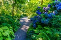 Botanical Garden Path 2