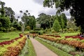 Botanical Garden of Peradeniya, Kandy