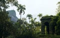 Botanical Garden in Rio de Janeiro Royalty Free Stock Photo