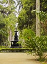 Botanical Garden in Rio de Janeiro Royalty Free Stock Photo