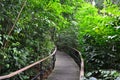 Botanical garden of Singapore, an UNESCO Heritage Centre