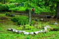 botanical garden on Solovetsky Islands north of Russia. Karelia.