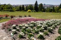 Botanical Garden in Europe