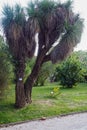 The Botanical Garden in Trastevere, Rome, Italy