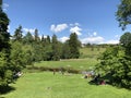 Botanical Garden of the University of Zurich or Botanischer Garten der Universitaet Zuerich