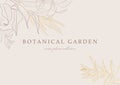 Botanical vector collection