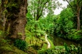 Botanical garden view, Terra Nostra park, Azores islands