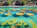 Botanical Gardens Villa Taranto Italy Royalty Free Stock Photo