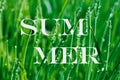 Botanical green background with word summer with white letters pierced by blade long wet grass Royalty Free Stock Photo