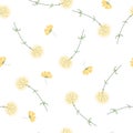 Botanical hand drawing seamless pattern. Branches with flowers and leaves. Hand drawn dandelion on white background Royalty Free Stock Photo