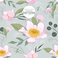 gustavia flower illlustration seamless pattern02 Royalty Free Stock Photo