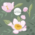 gustavia flower illlustration seamless pattern01