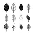 Botanical harmony: celebrating the elegance of black and white plant leafs