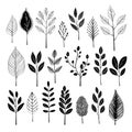 Botanical harmony: celebrating the grace of monochromatic foliage