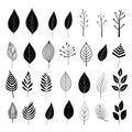 Botanical harmony: celebrating the grace of monochromatic leaves