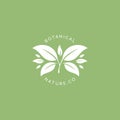 Botanical herbal natural logo template with big leaves