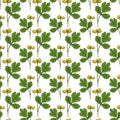 Botanical herbs seamless pattern. Nature print for textile design. Nature pattern with celandine yellow flowers.