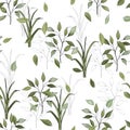 Botanical hipster, rustic seamless print for wedding cards. Nature floral background greenery pattern in hand drawn watercolor Royalty Free Stock Photo