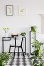 Botanical home office interior with a desk, chair and graphics on the wall. Real photo Royalty Free Stock Photo