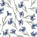 Botanical Illustration of cartoony wildflowers. Summer background, grass and cornflowers. Seamless pattern.