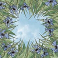 Botanical Illustration of cartoony wildflowers. Summer background, grass, cornflowers and sky.