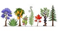 Botanical Illustration of Diverse Plant Life for Educational and Decorative Use Royalty Free Stock Photo