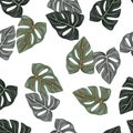 Botanical leaf wallpaper. Tropical pattern, palm leaves floral background. Abstract exotic plant seamless pattern Royalty Free Stock Photo