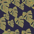 Botanical leaf wallpaper. Tropical pattern, palm leaves floral background. Abstract exotic plant seamless pattern Royalty Free Stock Photo