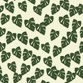 Botanical leaf wallpaper. Tropical pattern, palm leaves floral background. Abstract exotic plant seamless pattern Royalty Free Stock Photo