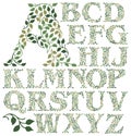 Botanical Leaves Alphabet/eps Royalty Free Stock Photo