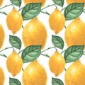 Botanical Lemon Seamless Pattern