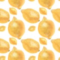 Botanical Lemon Seamless Pattern