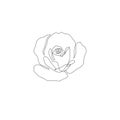 Botanical line art Rose illustration. Minimalist tattoo or print design. One line flower Royalty Free Stock Photo