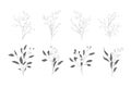 Botanical line art silhouette leaves hand drawn pencil sketches isolated