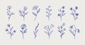 Botanical linear flower set. Abstract floral doodle elements for card packaging design, posters. Vector sketch Royalty Free Stock Photo