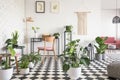 Botanical living room interior with checkered floor, chair and desk, graphics and decorations on the wall. Real photo Royalty Free Stock Photo