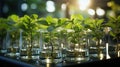 Botanical Marvel: Lush Green Plant in Laboratory Glass Tube