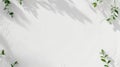 Botanical Minimalism: A delicate arrangement of leafy branches casts a dappled shadow across a pristine white background Royalty Free Stock Photo