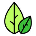 Botanical oregano icon vector flat Royalty Free Stock Photo