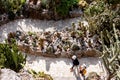 Botanical park with different cactuses in Monaco