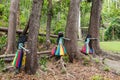 Botanical Park - Garden of Sleeping Giant, Nadi , Fiji.