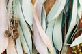 Botanical print, eucalyptus leaves closeup