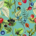 Botanical repeat pattern of hand drawn berries Royalty Free Stock Photo