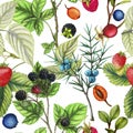 Botanical repeat pattern of hand drawn berries Royalty Free Stock Photo